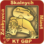 zdobywca skalnych miast 2 (1)